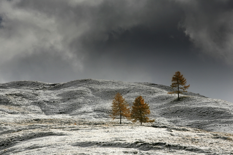 826 - PREMIERE NEIGE - BECQUE JACQUELINE - belgium.jpg